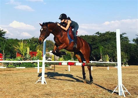 True Friend Horse Riding (Polokwane, South Africa): Hours, Address ...