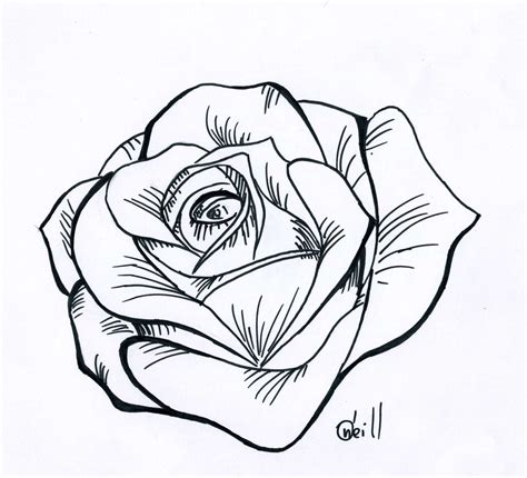 Black And White Rose Drawing - Cliparts.co