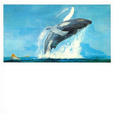 Humpback Whale - Songs Of The Humpback Whale (1970, Vinyl) | Discogs