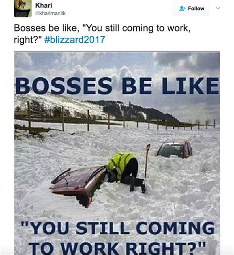 'STELLA!!' Snow storm inspires blizzard of funny memes on social media ...