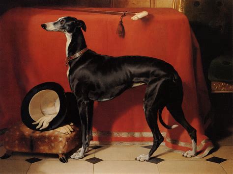 Landseer | Grey hound dog, Dog paintings, Greyhound art