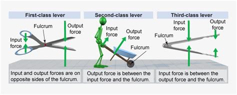 Three Different Classes Of Levers - Physics - Free Transparent PNG ...