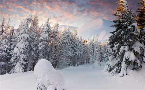 winter, Nature, Snow, Beautiful, Lovely, Landscape, Landscapes ...