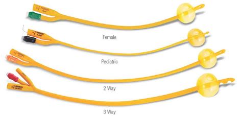 Foley Catheter Size Chart - Best Picture Of Chart Anyimage.Org