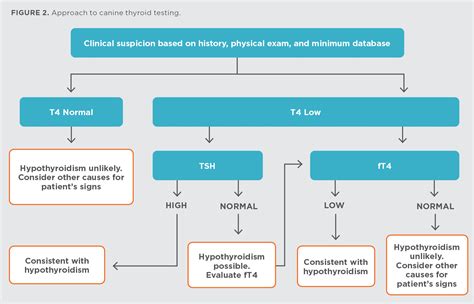 Thyroid Levels In Dogs Chart