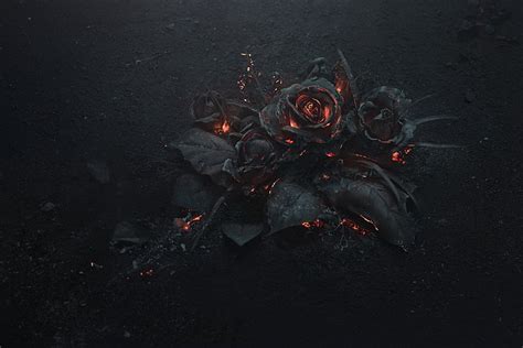 Online crop | HD wallpaper: black rose illustration, ash, burning ...