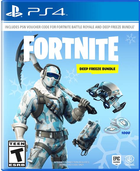 FORTNITE Deep Freeze Bundle, Warner, PlayStation 4, 883929662623 ...