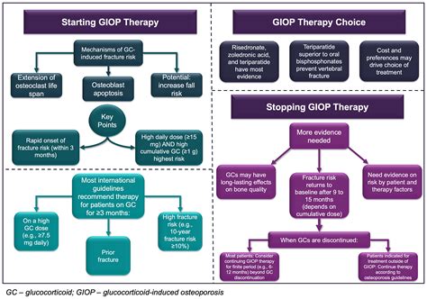 Osteoporosis Treatment Guidelines