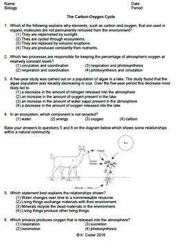 Worksheet - Carbon-Oxygen Cycle *EDITABLE* | TPT