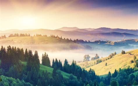 mist, Trees, Forest, Sunrise, Mountain, Landscape Wallpapers HD ...