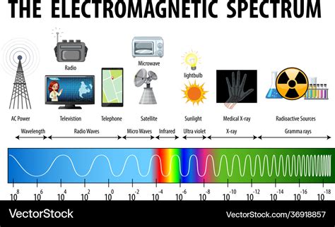 Science electromagnetic spectrum diagram Vector Image