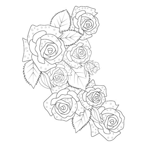 Pencil Drawing Rose Flowers | Best Flower Site