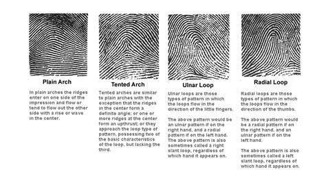 Kirsty's Blog!: Different Types Of Fingerprints.