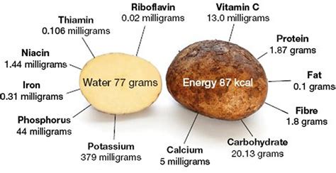 15 Best Ideas Potato Dietary Fiber – Easy Recipes To Make at Home