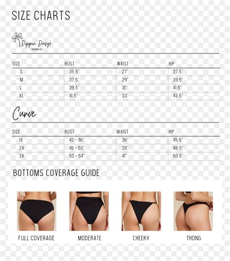 Bikini Bottom Style Chart, HD Png Download - vhv