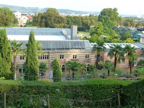 Wilhelma Zoo and Botanical Garden (Stuttgart) - Visitor Information ...