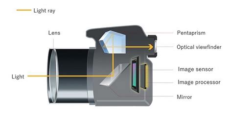 Digital SLR Cameras | Canon Global