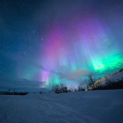 The best place to see the Northern Lights in Norway | Journey Magazine