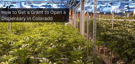 How to Get a Grant to Open a Dispensary in Colorado - Cannasseur