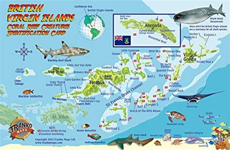 British Virgin Islands Dive Map & Coral Reef Creatures Guide Franko ...