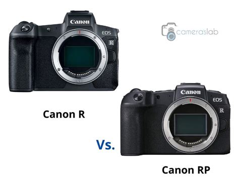 Canon 80D Vs 90D - Learn the Differences & Get the Best One!