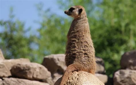 5 Wildlife parks and bioparks in Italy - Italia.it