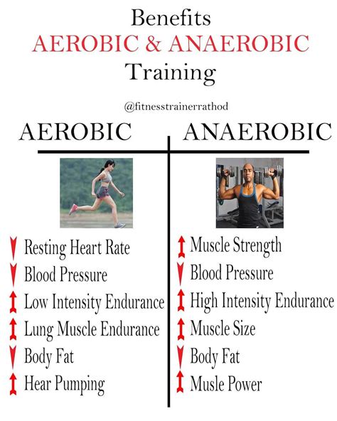 Benefits of Aerobic Exercise And Anaerobic Exercise. | Anaerobic ...