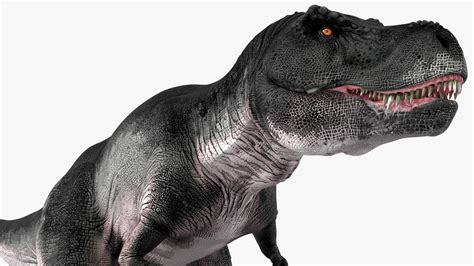 3D T Rex Roaring Animated Rigged - TurboSquid 2102890