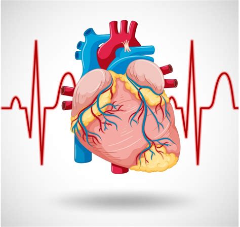 Obesity And Heart Disease: What’s The Connection? | Dr. Raghu