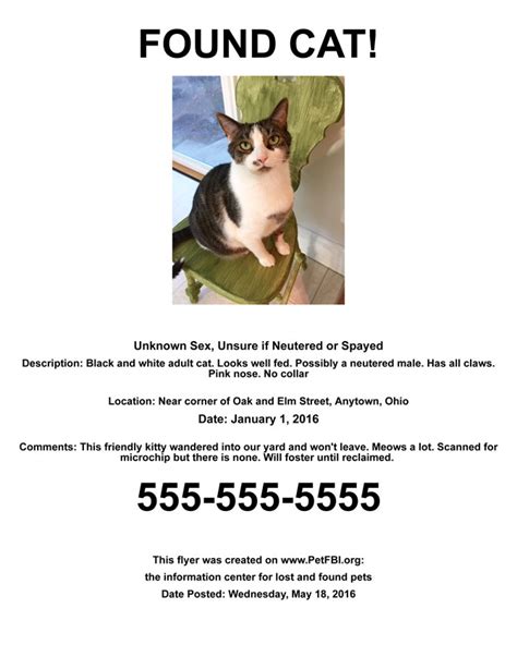 Found Cat Flyer Sample | Pet FBI