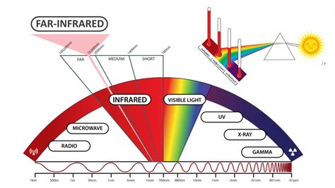 A beginners guide to understanding far-infrared heating | Infracomfort NZ