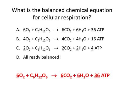 The Balanced Chemical Equation For Cellular Respiration Is - Tessshebaylo