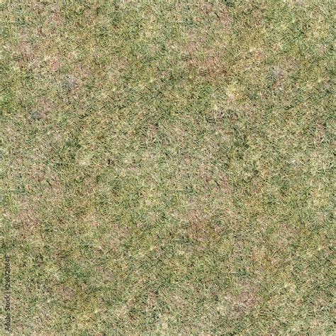 Grass Texture Map