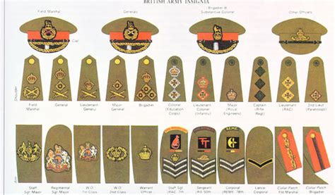 British army ranks by GeneralVyse on DeviantArt