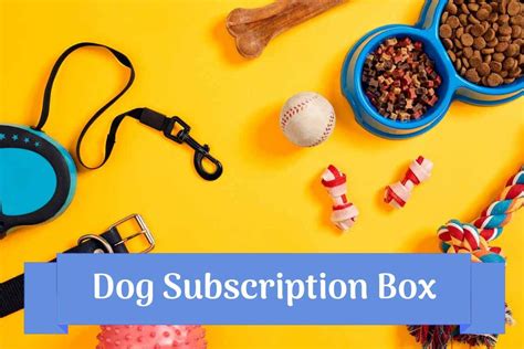 Dog Subscription Boxes: Our Top 6 Recommendations