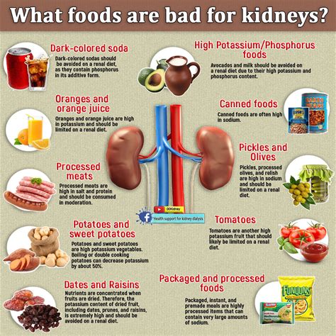 Printable Renal Diet Food List