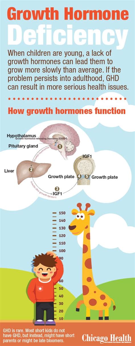 The Genetic Shortcomings of Growth Hormone Deficiency - Chicago Health