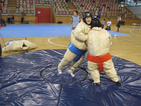 Sumo wrestling simulator - garryweed