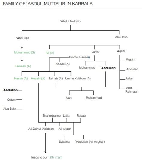 Set 20: FAMILY OF HAZRAT ABDUL MUTTALIB(AS) IN KARBALA Diagram | Quizlet