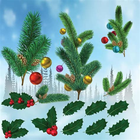 holly leaves with red berries fir branches 13171675 Vector Art at Vecteezy