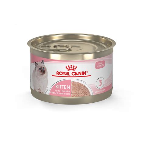 royal canin siamese cat food shortage - Kyung Heinz