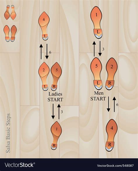 Salsa basic steps Royalty Free Vector Image - VectorStock