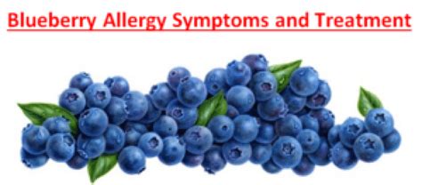 Blueberry Allergy Symptoms, Should we avoid? - Fruits Facts