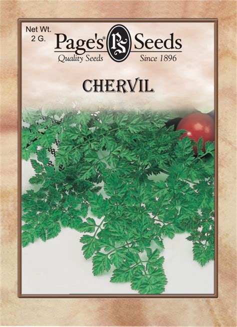 Chervil Herb | The Page Seed Company, Inc