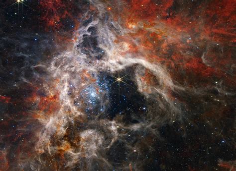 James Webb Space Telescope Observes Cosmic Tarantula Called 30 Doradus ...