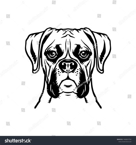 2,114 imágenes de Boxer dog logo - Imágenes, fotos y vectores de stock ...