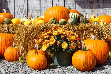 Fall Harvest Display Free Stock Photo - Public Domain Pictures