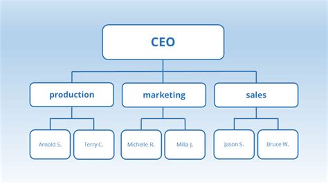 Functional Organizational Structure Template