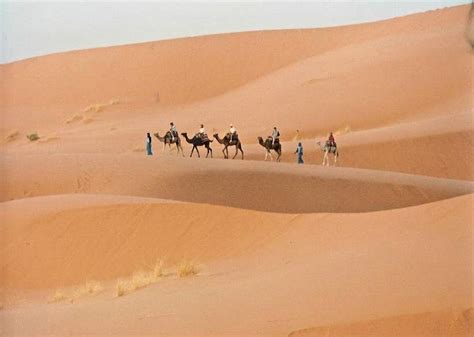 The sahel desert - a photo on Flickriver