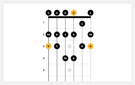 Learn About Major Scales on Guitar | Fender Play